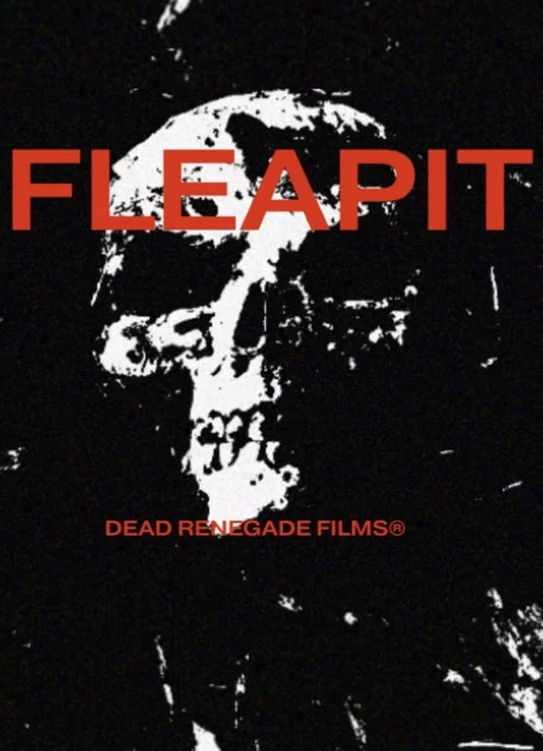 Fleapit постер