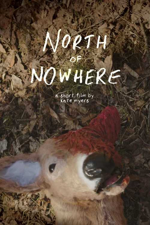 North of Nowhere постер