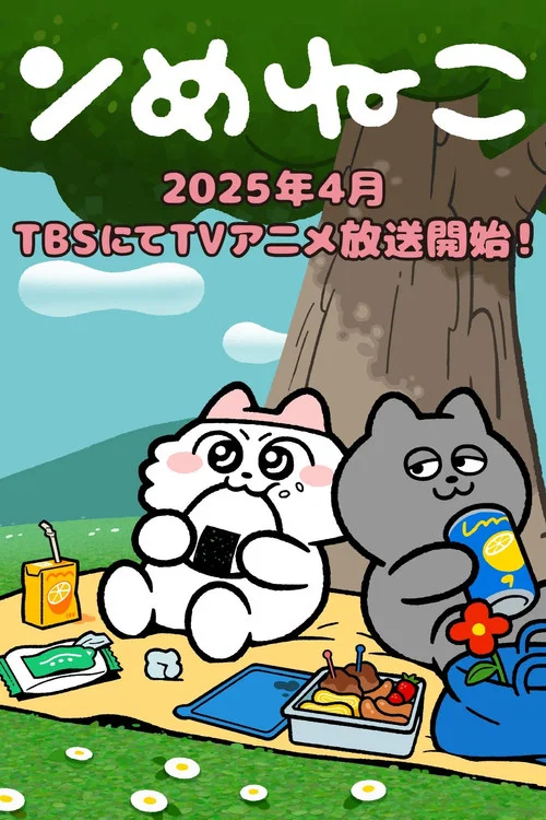 ンめねこ постер