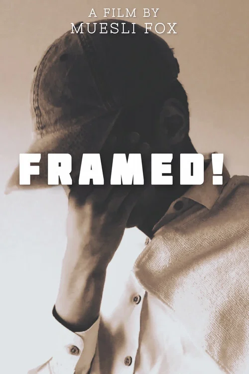 Framed! постер