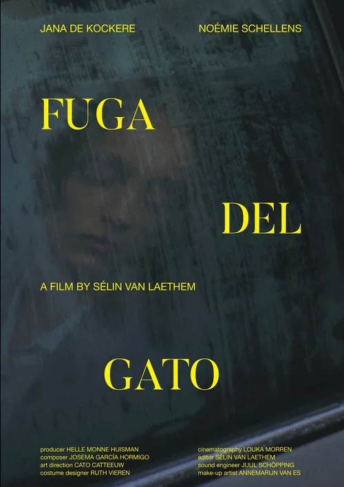 Fuga Del Gato постер
