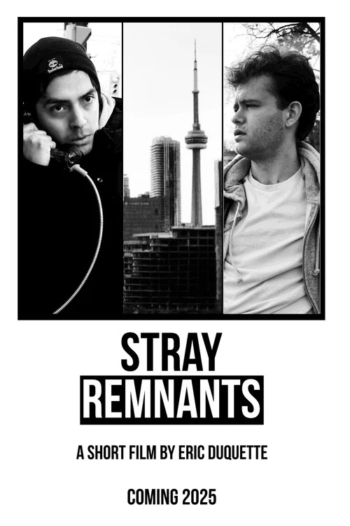 Stray Remnants постер