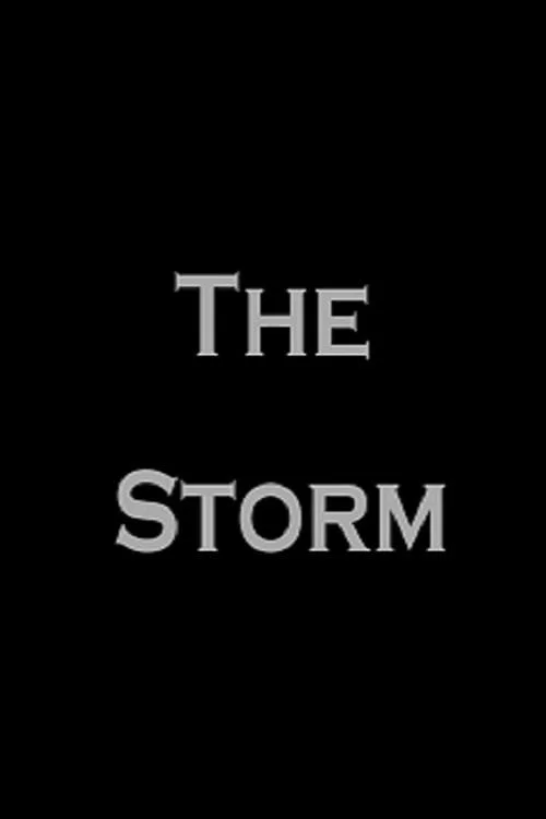 The Storm постер