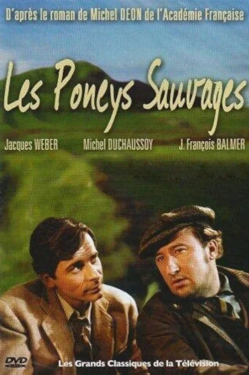 Les Poneys sauvages постер