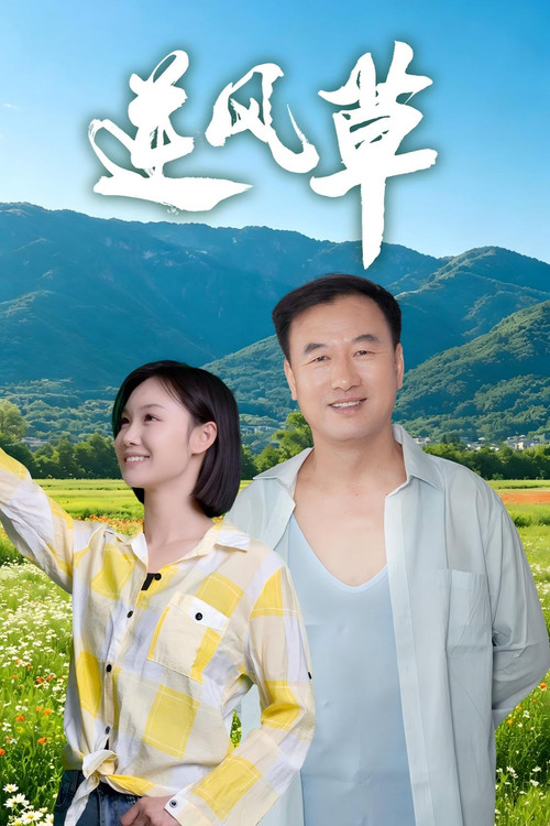 逆风草 постер