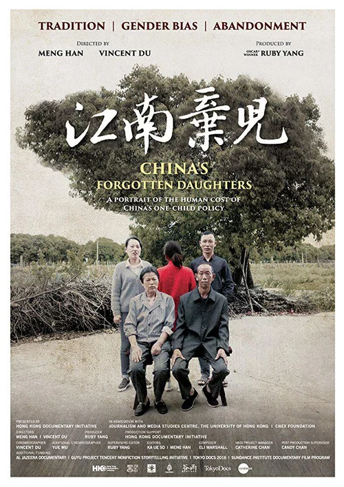 江南棄兒 постер