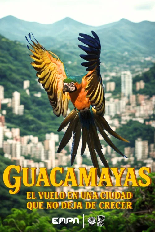 Guacamayas: El vuelo en una ciudad que no deja de crecer постер