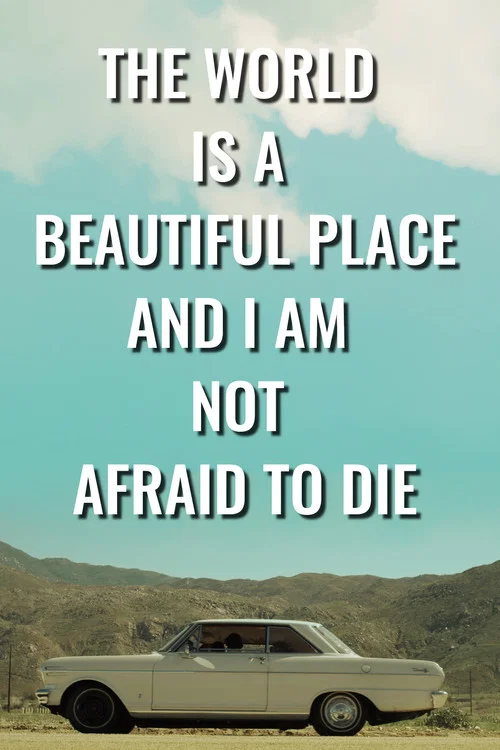 The World is a Beautiful Place and I Am Not Afraid to Die постер