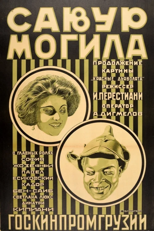 Савур-могила постер