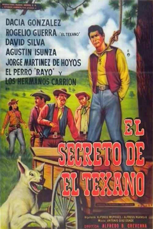 El secreto del texano постер