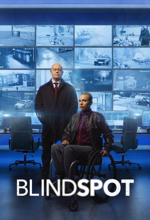 Blindspot постер