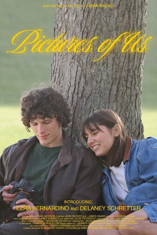 Pictures of Us постер