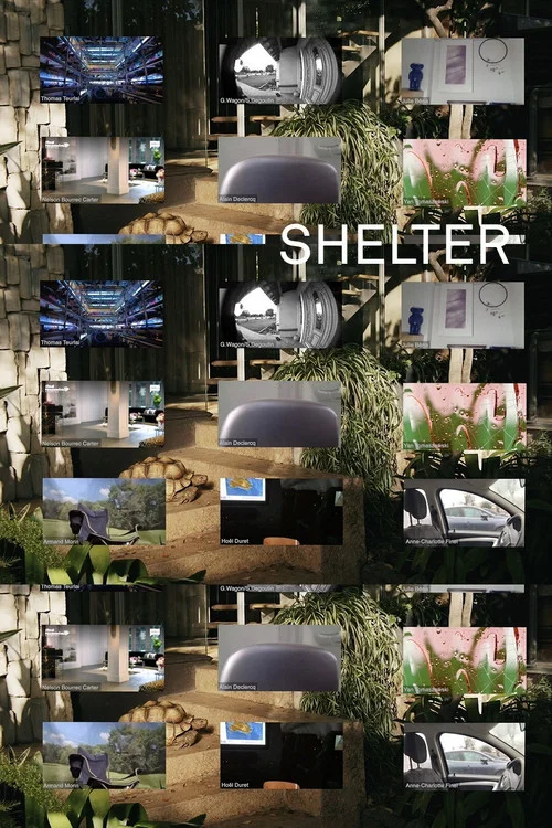 Shelter постер