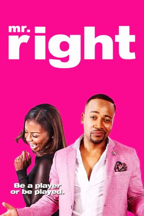 Mr. Right постер