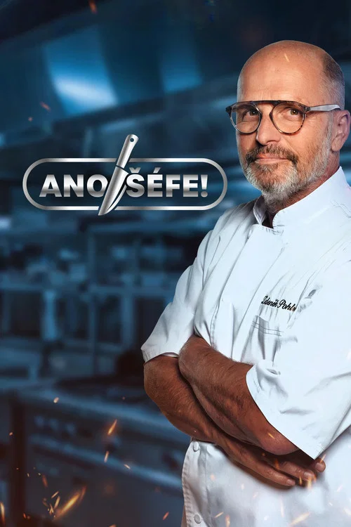 Ano, šéfe! постер