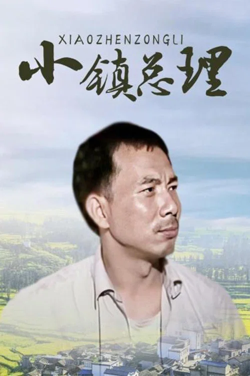 小镇总理 постер