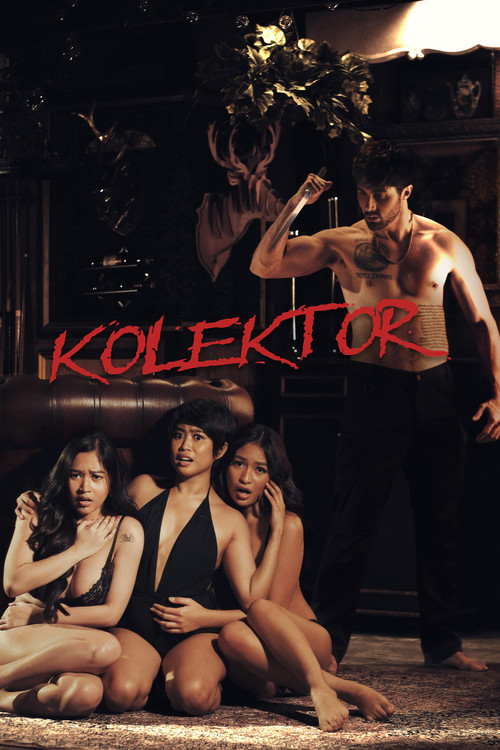 Kolektor постер