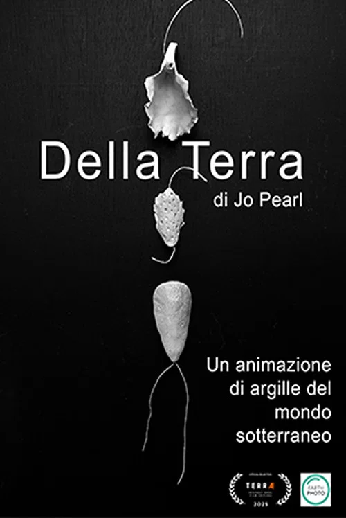 Della terra постер