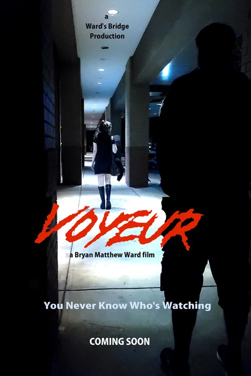 Voyeur постер