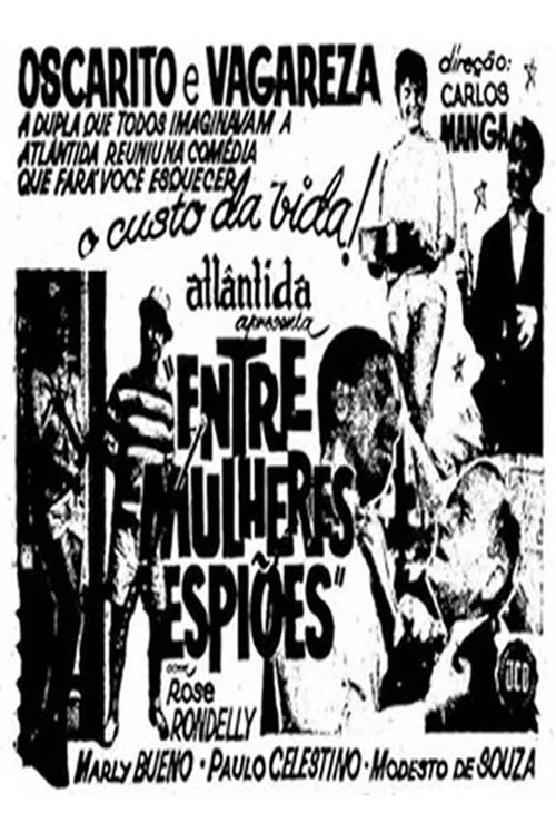 Entre Mulheres e Espiões постер
