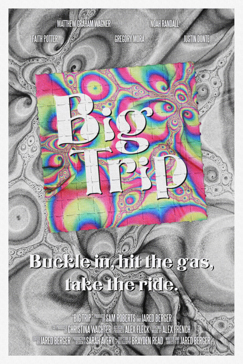 Big Trip постер