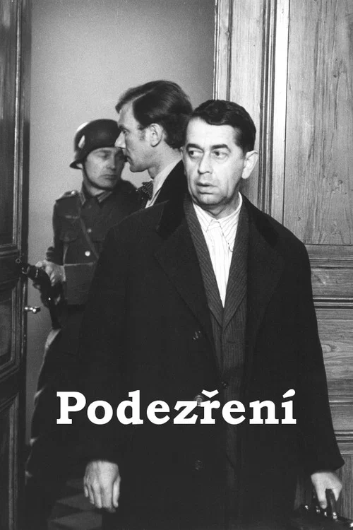 Podezření постер