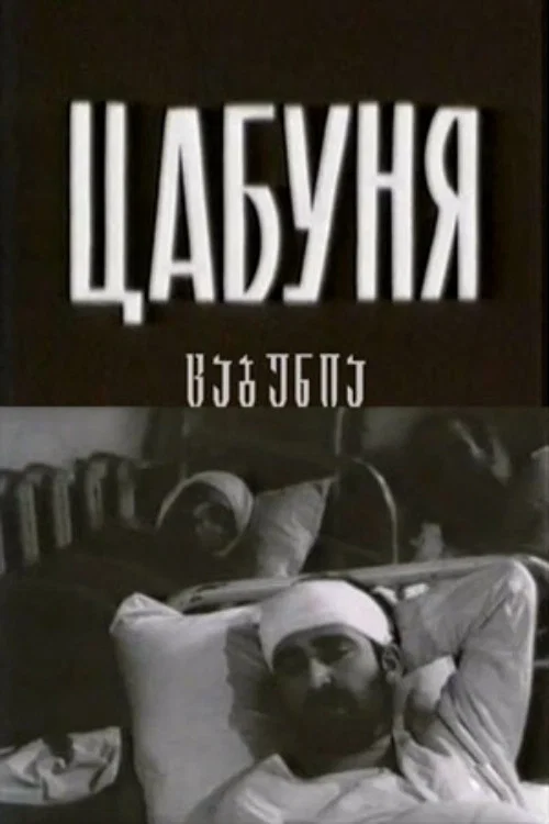 Цабуня постер