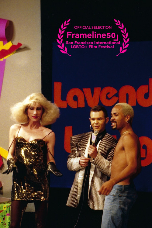 Here, Queer, and On TV постер