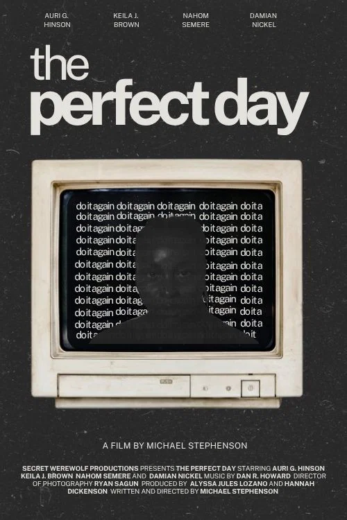 The Perfect Day постер