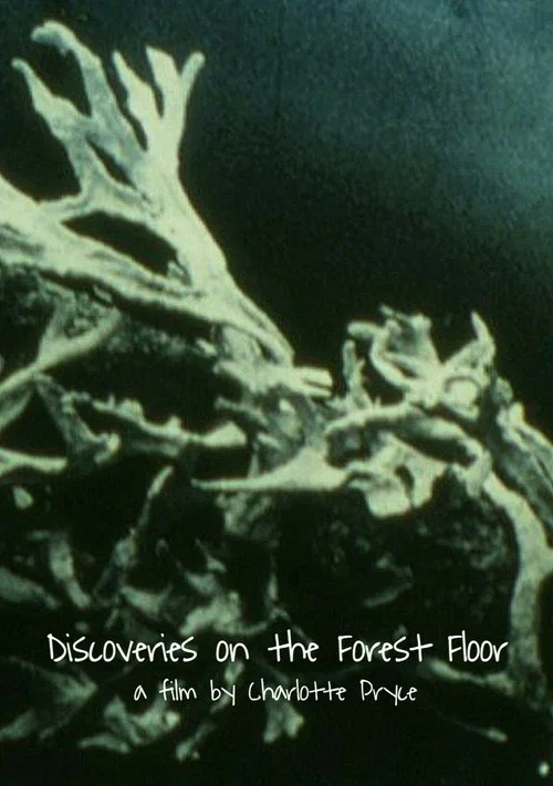 Discoveries on the Forest Floor 1-3 постер