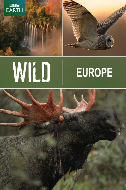 Wild Europe постер