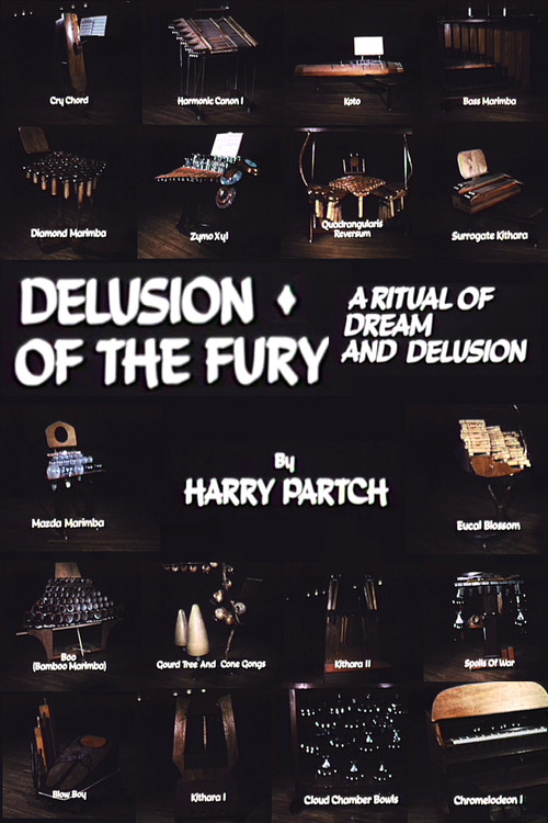 Delusion of the Fury: A Ritual of Dream and Delusion постер