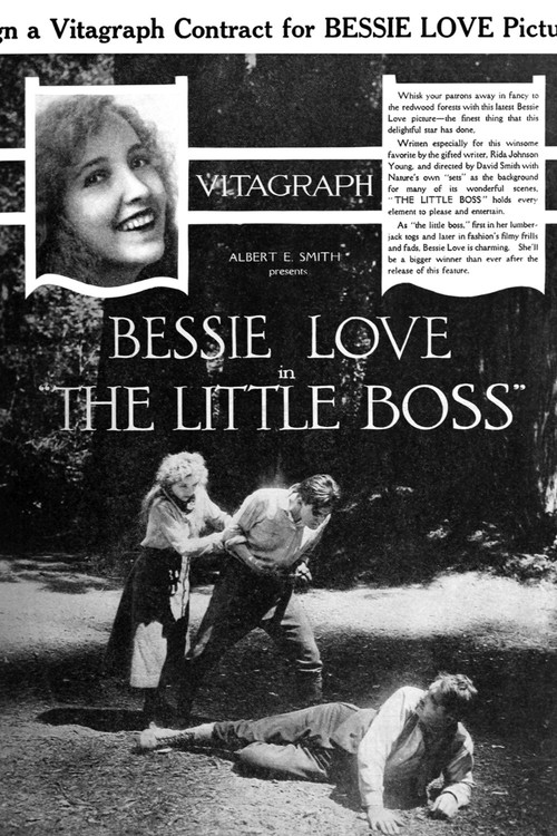 The Little Boss постер