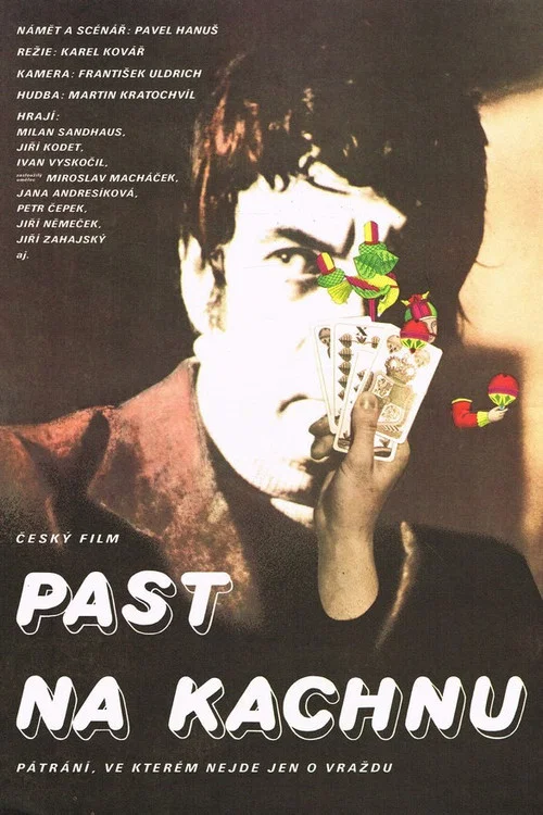 Past na kachnu постер