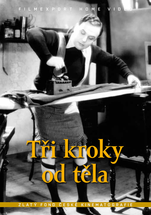 Tři kroky od těla постер