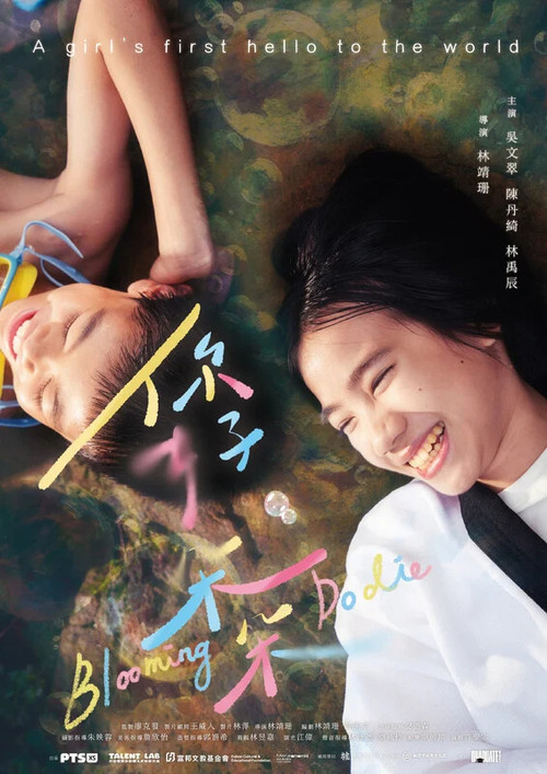 你好，朵朵 постер