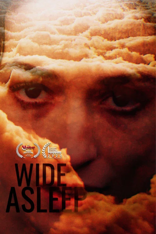 Wide Asleep постер