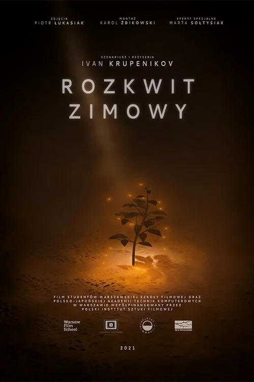 Rozkwit zimowy постер