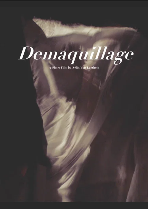 Demaquillage постер