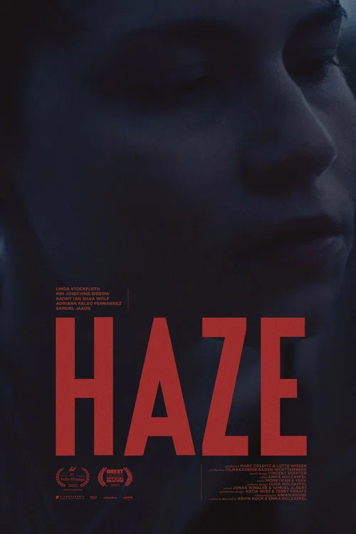 HAZE постер