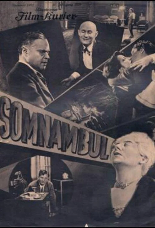 Somnambul постер