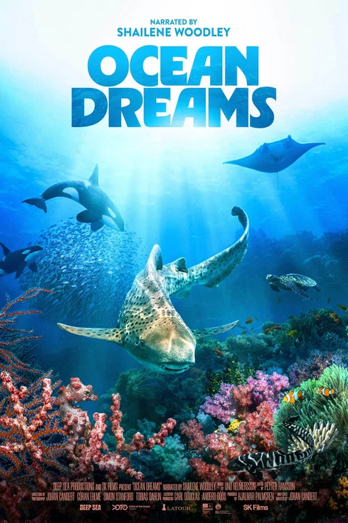 Ocean Dreams постер
