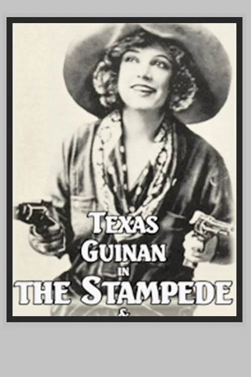 The Stampede постер