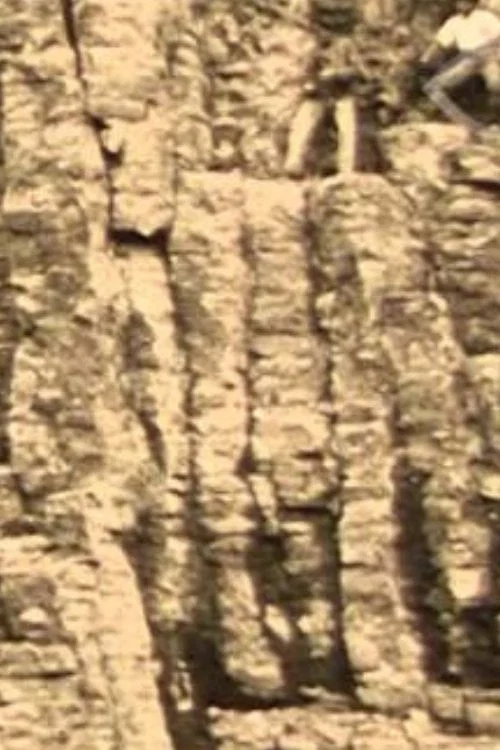Het Bedrijf der Nederlandsche Basalt Maatschappij 'Zaandam' in Duitschland en Holland постер