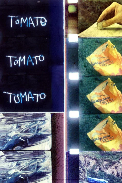 Tomato постер