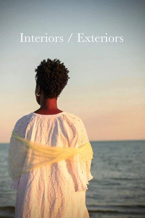 Interiors/Exteriors постер
