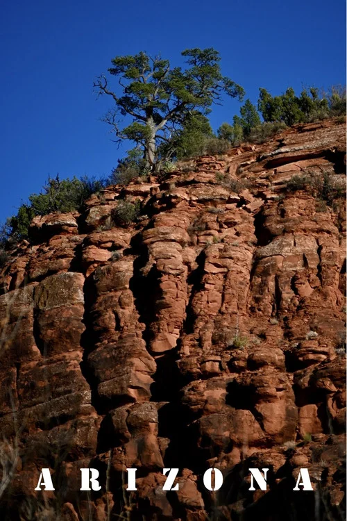 Arizona постер