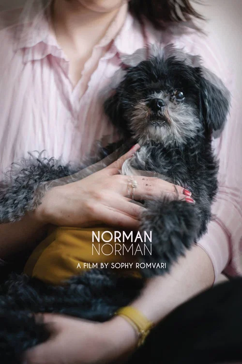 Norman Norman постер