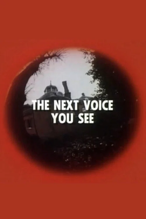 The Next Voice You See постер