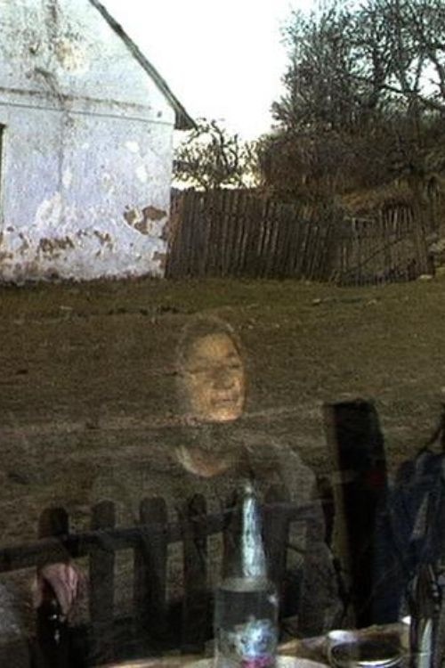 Линденфельд 1994 постер
